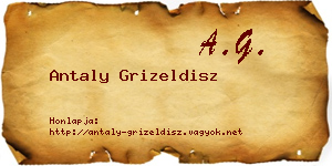 Antaly Grizeldisz névjegykártya